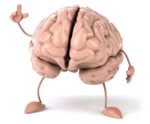 brain - мозг