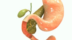 gallbladder - желчный пузырь